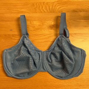 Light Blue Wacoal Bra - 36H